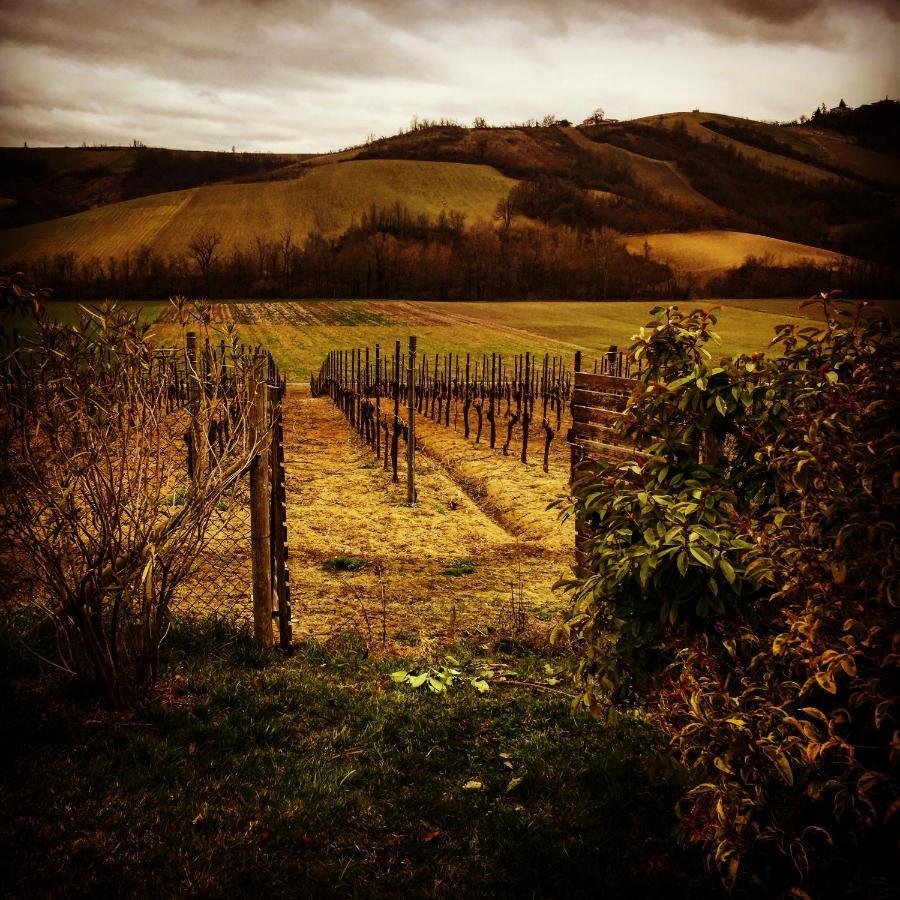 La Rondanina Villa Castelnuovo Fogliani ภายนอก รูปภาพ